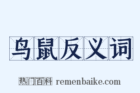 鸟鼠反义词是什么意思的图片